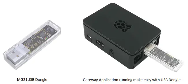 Wirebridge-MG21USB-Dongle-FIG-1