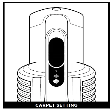 CARPET SETTING