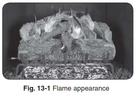 realfyre G52 Vented Gas Log Set-Fig 13