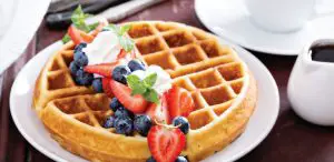 Gourmia GWM448 Rotating Waffle Maker - fig 1