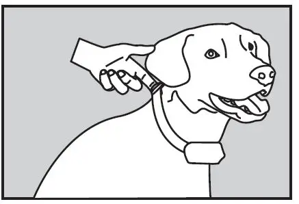 elfe FW651A Remote Training Dog Collar fig5