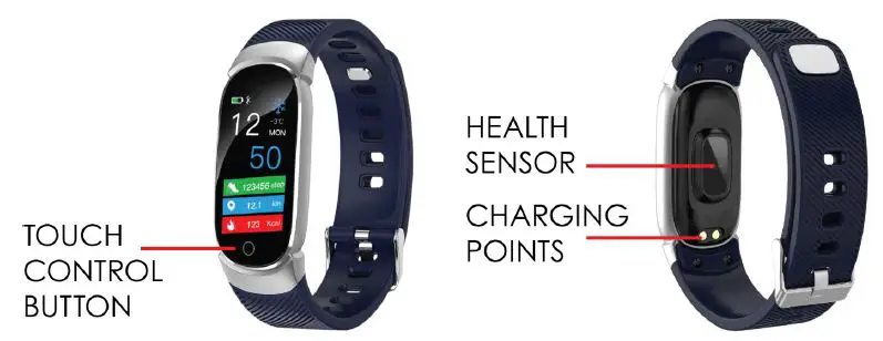 DESCRIPTION OF THE WEARABLE