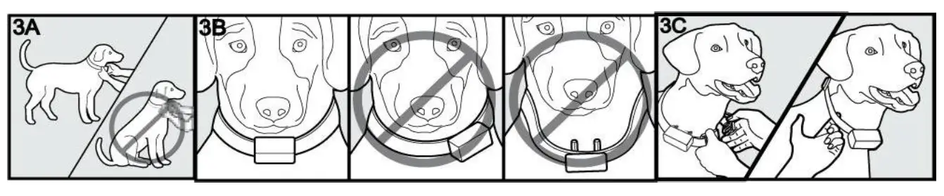 PAPANI-PS8-Dog-Training-Collar-fig-3