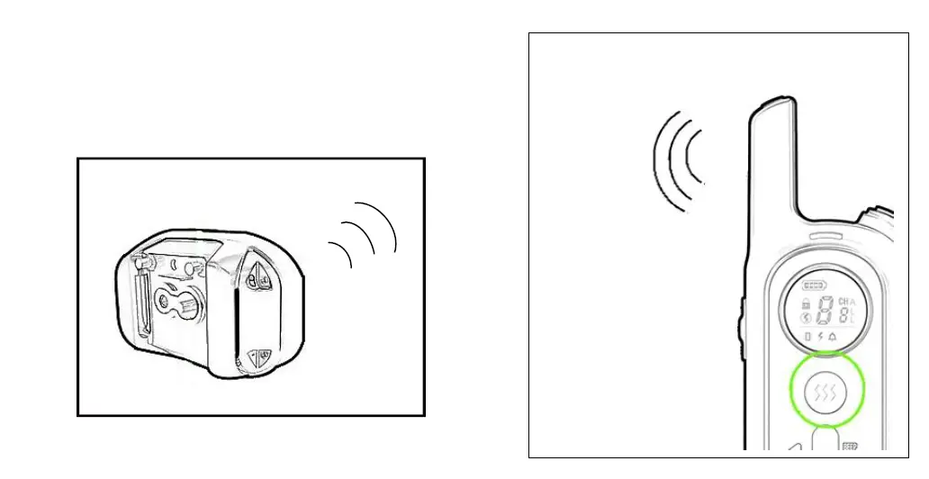 PAPANI-PS8-Dog-Training-Collar-fig-6
