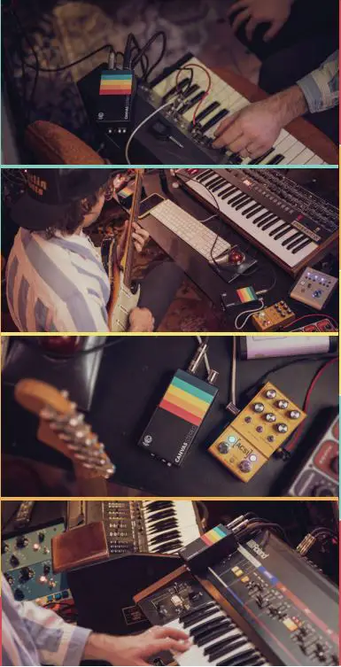 WALRUS-AUDIO-Canvas-Stereo-Dual-Line-Isolator-1