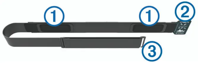 Putting On the Heart Rate Monitor