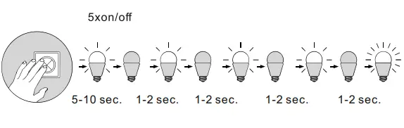 Paul-Neuhaus-338-13-Q-Peter-Floor-Lamp-Instruction-fig-6