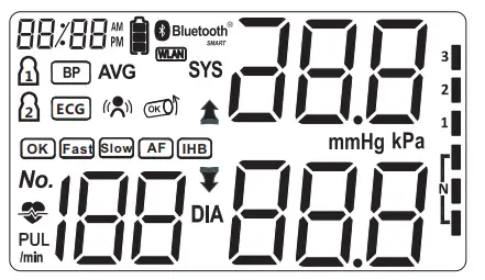SEJOY-DBP-6679B-ECG-Blood-Pressure-Monitor-24