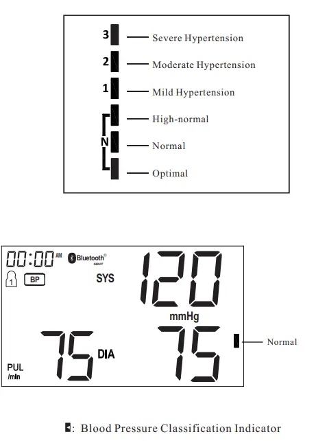 SEJOY-DBP-6679B-ECG-Blood-Pressure-Monitor-55