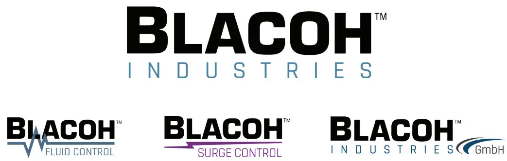 SENTRY Chargeable Dampeners 300 PSI Metal and Plastic - logo 2