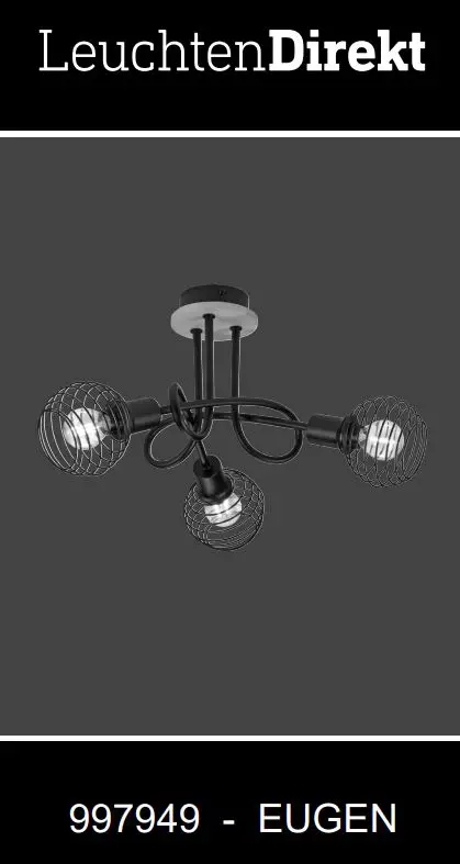 Paul Neuhaus 15923 Ceiling Light Instruction Manual