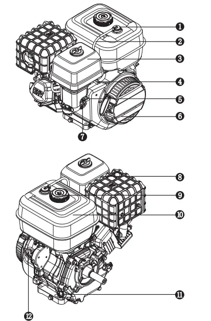 CRX420-Gasoline-Engine-FIG-1