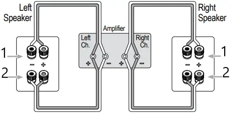 richter S6 Loudspeakers B05