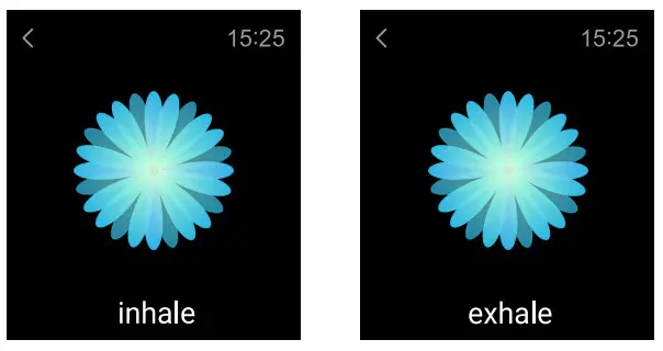NOISE Colorfit Pro 3 Smartwatch - 4