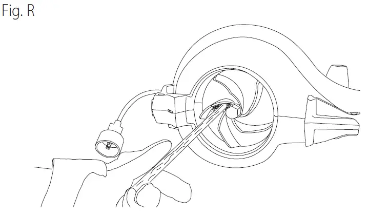 Fig R