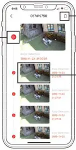 Records/Playback/Delete