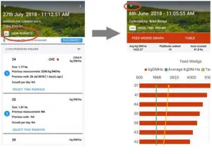 graphical user interface