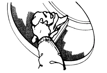 Whirlpool LE7800XM Automatic Dryer User - Caring for your dryer 3