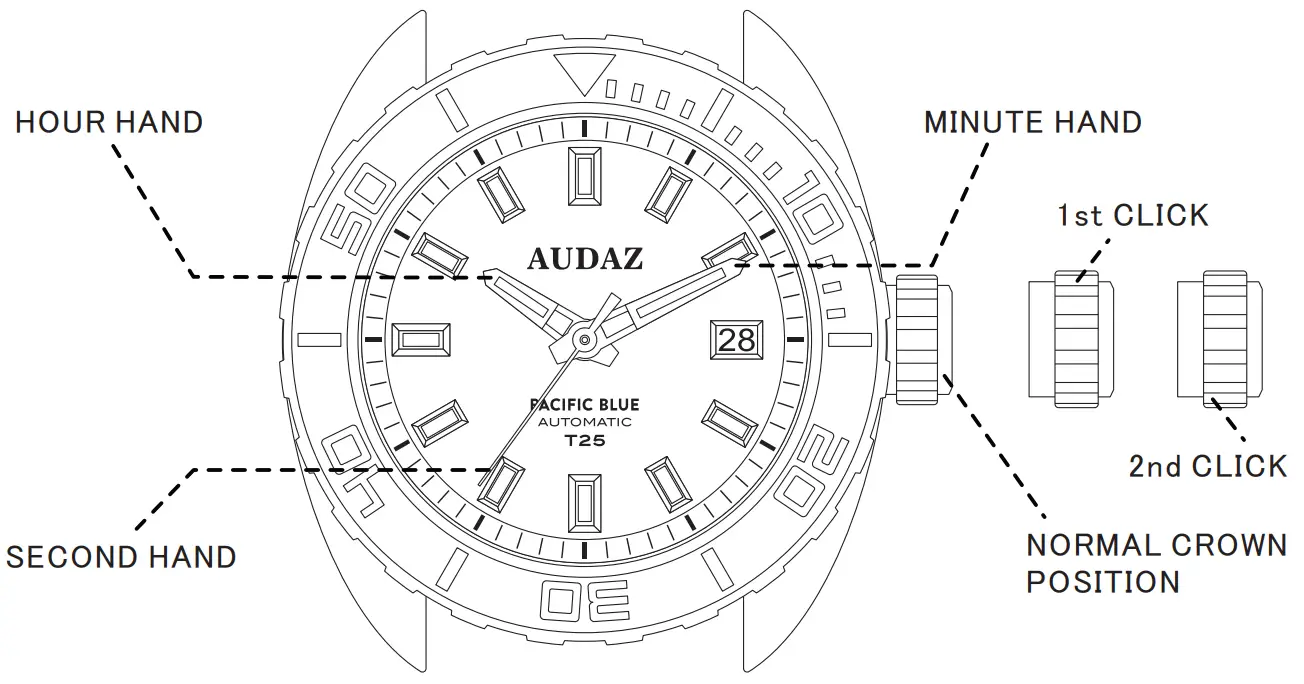 AUDAZ PREDATOR utomatic Skeleton With 2 Hands
