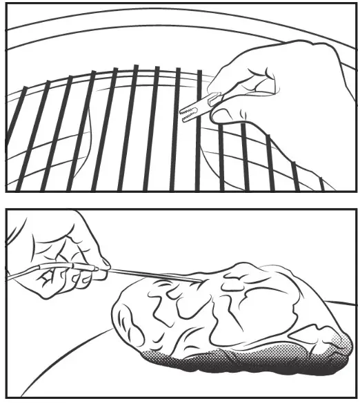 FLAME BOSS FB400K 400 Kamado Smoker Controller Kit - PROBE PLACEMENT