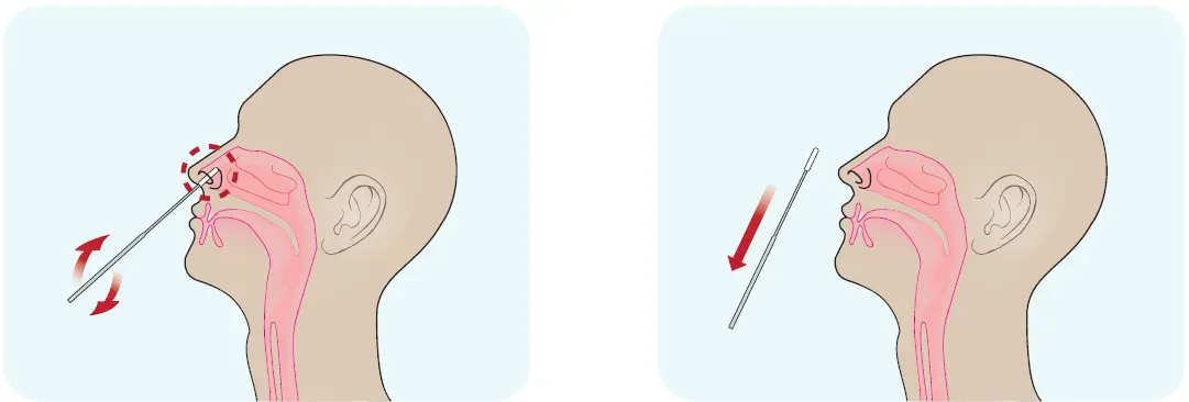 CareStart -RCHM-02071 -Covid-19- Antigen -14