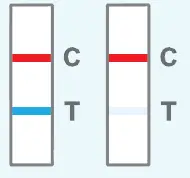 CareStart -RCHM-02071 -Covid-19- Antigen -19