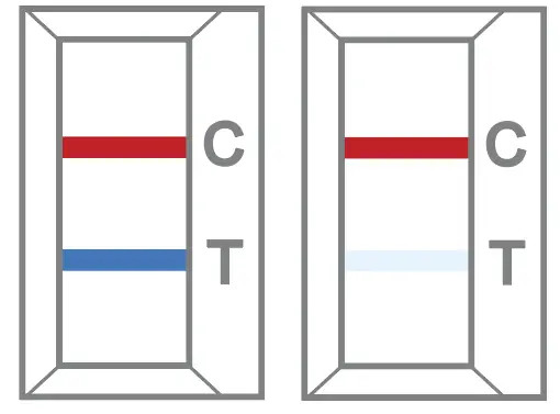 CareStart -RCHM-02071 -Covid-19- Antigen -9