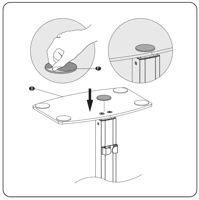 Monitor Desk Stand- -Tear off the protective paper