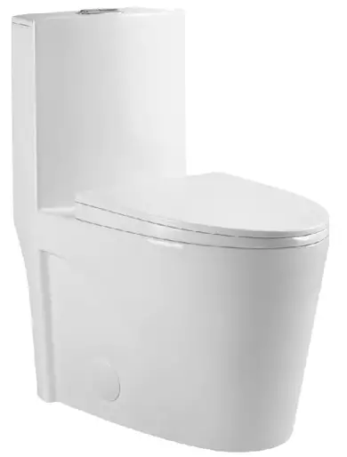 CLOVIS 21S0901-MB Dual Flush Elongated Toilet