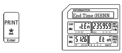 VISION-TECH-SHOP-DLP-300-Label-Printing-Scale-Pole-Display-FIG- (12)