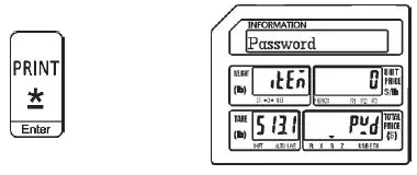 VISION-TECH-SHOP-DLP-300-Label-Printing-Scale-Pole-Display-FIG- (19)