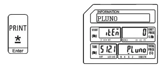 VISION-TECH-SHOP-DLP-300-Label-Printing-Scale-Pole-Display-FIG-8