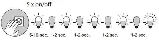 Paul-Neuhaus-531-55-Q-Kaan-LED-Floor-Lamp-fig6