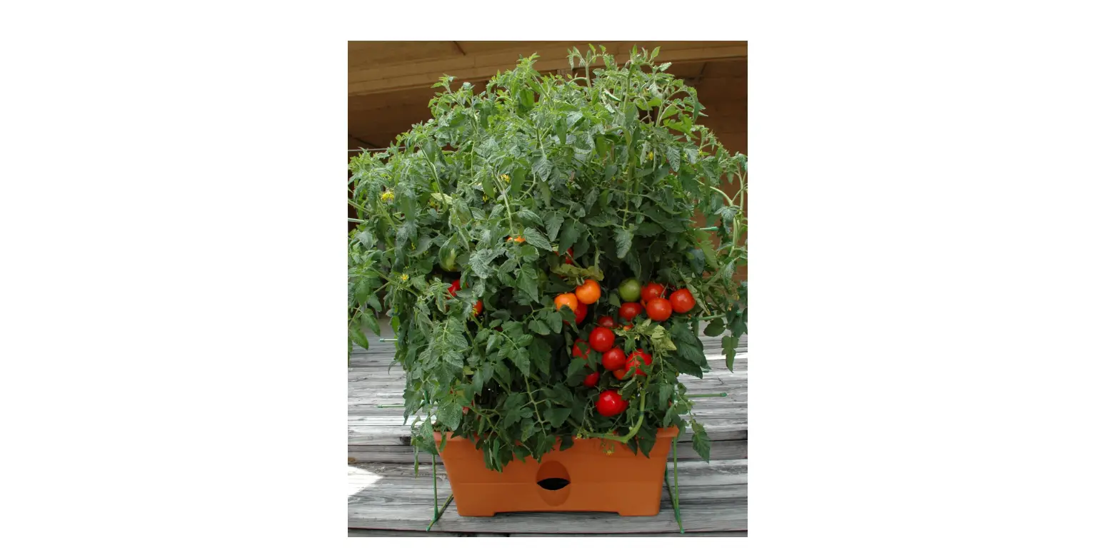 Garden Patch Growbox Potting Soil User Manual
