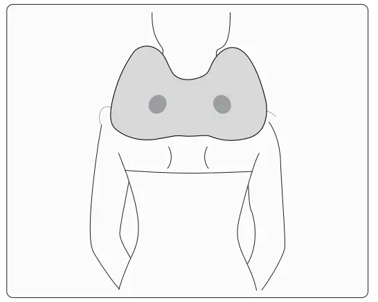 Please use in the manner shown below