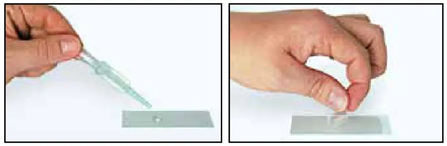 BRESSER 8855500 40x-2000x Microscope - 9