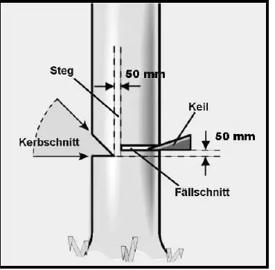 westfalia934600-Electric-Chain-Saw-GM-2500-45 TS-14