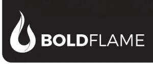 Bold Flame Logo