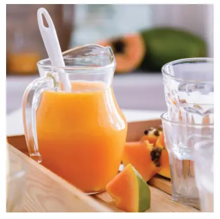 anko Vacuum Blender 404201 - RECIPES 2