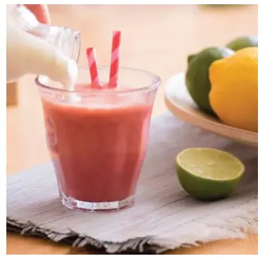 anko Vacuum Blender 404201 - RECIPES