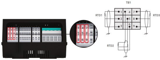 nVent RAYCHEM Elexant 4010i Heat Trace Controller - RTD CONNECTIONS