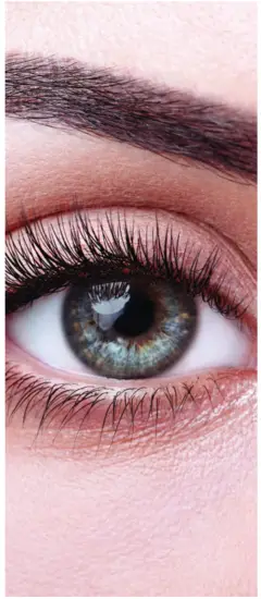 EvenSkyn Venus Premium Eyelid Anti Aging Device