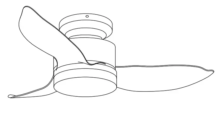 RoHS Ceiling Fan Instruction -