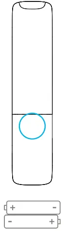 Remove the remote’s battery