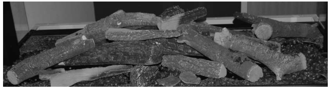 evonicfires E810 DS Stora DS Double Sided Evoflame - Silver Birch