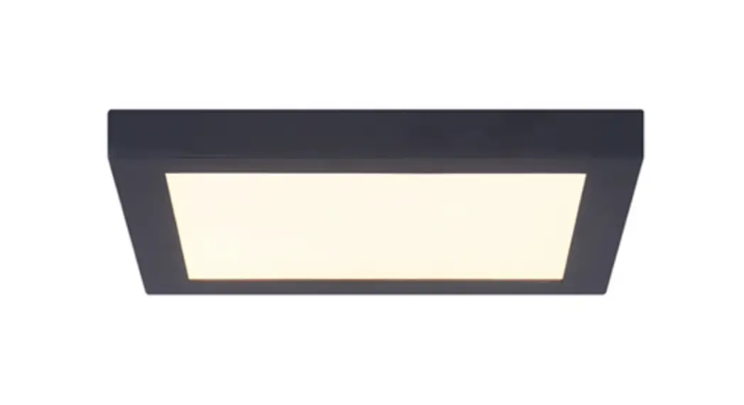 Paul Neuhaus 8288-16 Q-flag Ceiling Light Led Instruction Manual Paul Neuhaus 8288-16 Q-flag Ceiling Light Led Instruction Manual