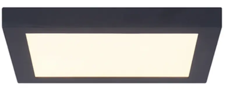 Paul Neuhaus 8288 16 Q FLAG Ceiling Light LED