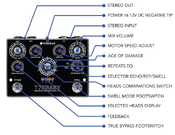 FOXGEAR-T7EBABY-Affordable-Echorec-Tribute-01