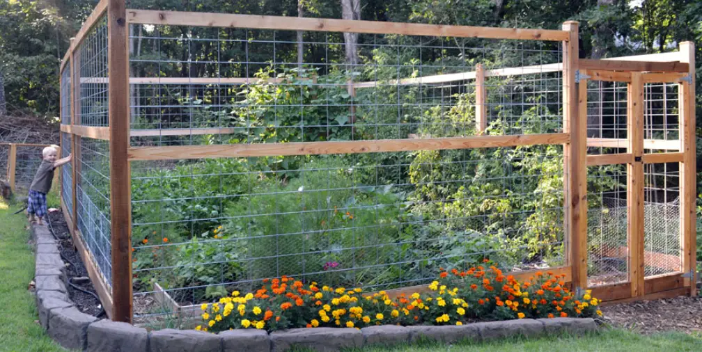 Gardeners Tall Chicken Wire Critter Fence Instructions