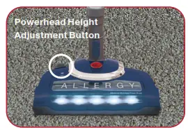 HOOVER Allergy Bagless Vacuum Cleaner - 5